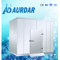 Alta Qualidade Cold Plate Venda Freezer com Preço Baixo